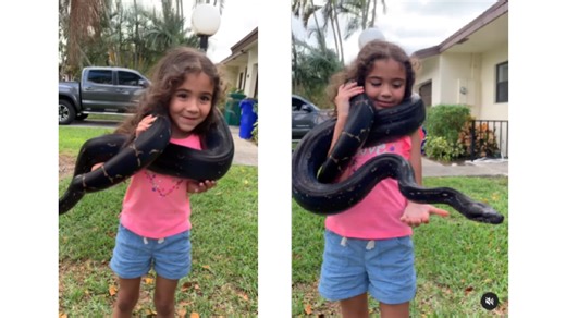 Bad Parenting! Social Media Fumes After A Girl Wraps Giant Snake Around Her Neck, Parents Busy In Recording