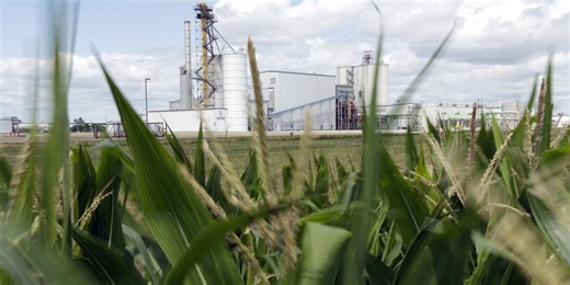 EPA boosts use of biofuels but holds steady for corn-based ethanol production