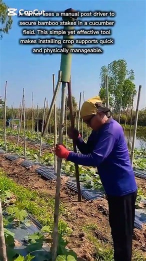 Agricultural Support Post Installation