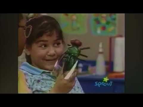 Barney & Friends - Shoo Fly (I Just Love Bugs)