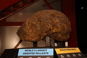 28 reactions | Pallasite meteorites are an extremely rare class of stony-iron meteorite. The meteorite on display is the largest of about 60 known to exist. Scientists believe pallasites come from the area in an asteroid where the core and mantle meet. Named after Peter Pallas, the mystery of these meteorites have fascinated us since being discovered in Siberia in the 18th Century. | Space Center Houston | Facebook