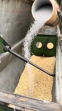 Planting oat/clover cover crop #farming101 #tractor #farming #farmerstruggle #farm #agco #aglife