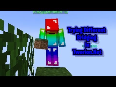 Different Bridging Methods in twerion