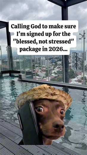 #Meme #MemeCut blessed, not stressed all year long #God #blessed #nostress