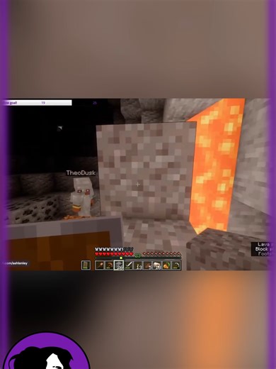 Not the lightsource #Minecraft #gameplay #stream #highlights