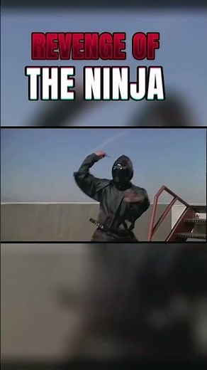 Revenge of the Ninja #ninja #movie #shorts
