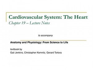 Cardiovascular System: The Heart Chapter 19 – Lecture Notes - SlideServe