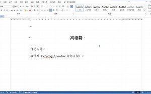 word公式编辑高级篇