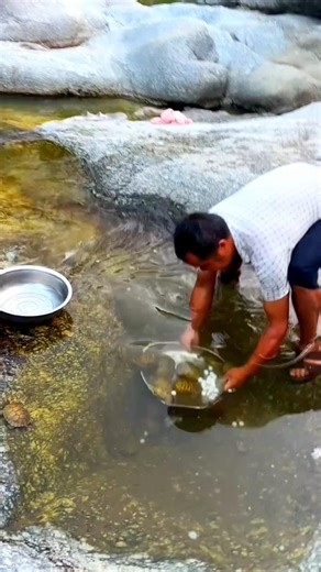 Turtle catching technique 🐢🤯 #turtle #catchoftheday #fishingtricks