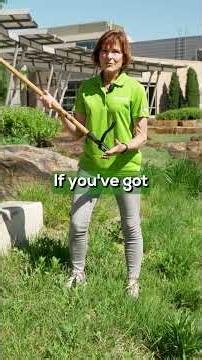 Stop Pulling Weeds by Hand! Try This Simple Garden Tool