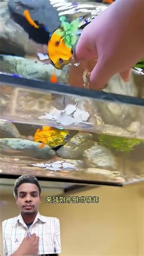 I Found a Swimming Pool Turns Into Monster Aquarium 😱🏊🧟| Survival House Step by Step”205 #shorts