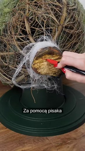 Narysuj 3 krzyżyki na pniu choinki i użyj wiertarkę 🤫 | Sprytne Triki