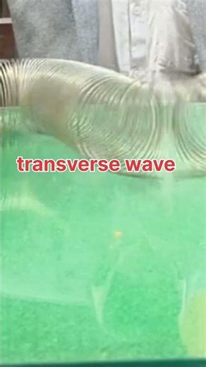 👉 Slinky Web Spring Experiment 🔥 Transverse & Longitudinal Waves | Physics in Real Life