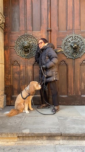 Louise Frevert on Reels