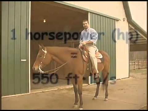 Physical Science Lab 6 Work and Power