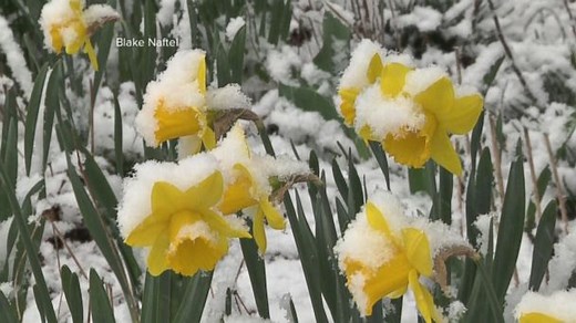 Severe Winter Weather Blasts Country, Putting Spring on Hold