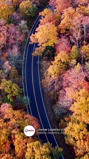 #truckdriverslife #truckdriversusa #truckerslife #truckers #truckerstyle #linestarlogistics #linestarдлядрайверов