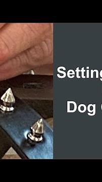 Setting Spikes for Spiked Dog Collar