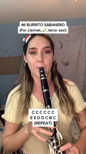 El Burrito Sabanero - Clarinet Cover | Christmas Music
