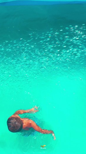 6.8K views · 44 reactions | Ready for summer ☀️  | Coco Beach Star | Facebook