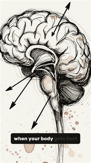 The Shocking Psychology of Rejection #psychologyfacts #humanbehavior #brainfacts #psychology