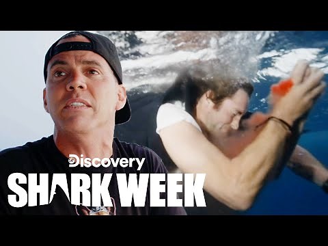 Shark Bites 'Jackass' Star Poopies | Shark Week