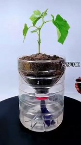 1.1M views · 12K reactions | Transforming trash into treasure | Plastic Recycling Art | Facebook