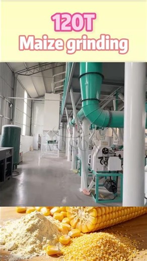 120TPD Maize Flour Milling Equipment | Voson Grain Engineering Machinery