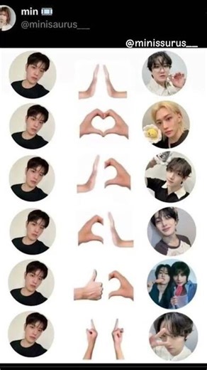 Ib:@minisaurus__ #straykids #naofloppa