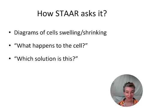 STAAR Biology EOC Review Cell Transport & Homeostasis
