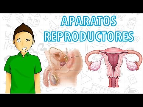 APARATOS REPRODUCTORES Para todos