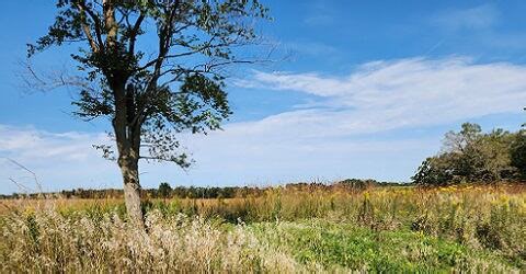 Dane Co. Parks celebrates opening of 923-acre wildlife area