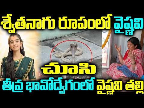 శ్వేతనాగు రూపంలో వైష్ణవి చూసి తీవ్ర భావోద్వేగంలో వైష్ణవి తల్లి