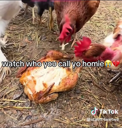 Watch Who You Call Your Homie