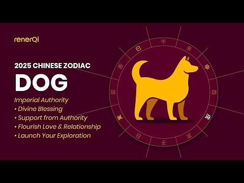 Chinese Zodiac 2025 : Dog - Your Success Guide Towards Building Your Authority