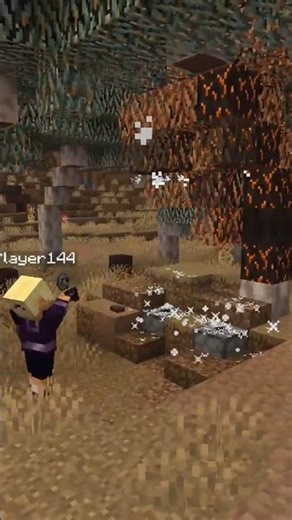 Litavis Teaser: Eucalyptus Trees