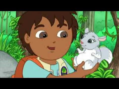 Chinta The Baby Chinchilla