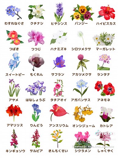 花の名前を学ぼう