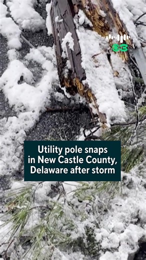 Utility Pole Snap in Snowstorm: New Castle County Update