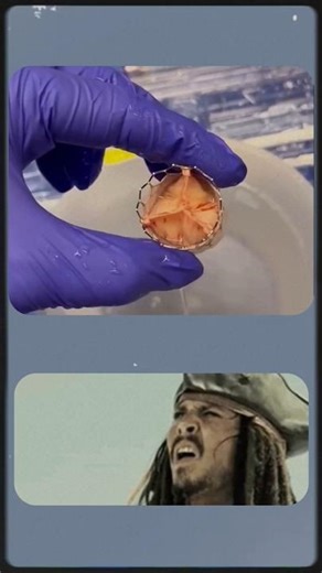 Life Saving Artificial Heart Valve || #ArtificialHeartValve #HeartHealth #CardiacCare #Medical