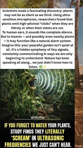 Scientists Reveal: Plants Make Sounds When They’re Thirsty!