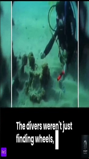 Coral's Secret: Preserved Chariot Wheels #archaeology #fossil