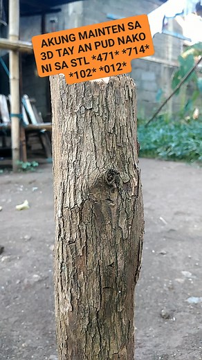 53K views · 872 reactions | Tay an pud nako sa STL #viewers #followers #highlights #dailyguideswetres #3dmainten #fypシ゚viralシ #reelsviralシfb #swertresguide #swertrestips | Boss ATC | Facebook