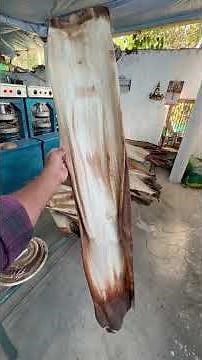One leaf plates || eco friendly natural leaf plates || Areca leaf plates making || biodegradable