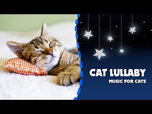 Relaxing CAT LULLABY song ♫♫♫