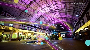 【CM映像公開】 ナイトアドベンチャーまでいよいよあと３日！大切な人と素晴らしい“とき”を。 7月21日(土)～9月2日(日) 20：30まで夜間特別営業 https://night-adventure.jp/ | アドベンチャーワールド（Adventure world）