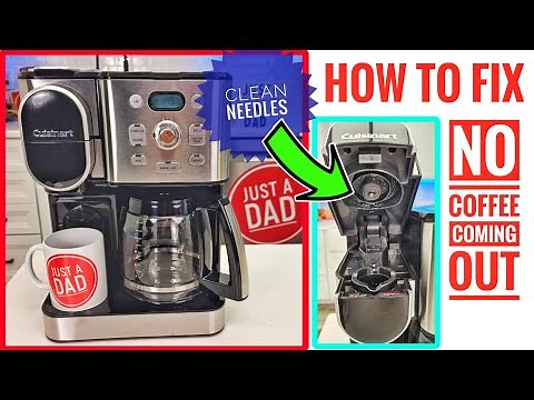 How to Fix Cuisinart Hot & Iced Coffee Maker SS-16 by Cleaning the Needles