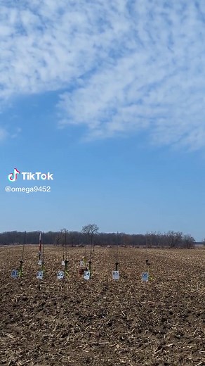 John Williams on TikTok