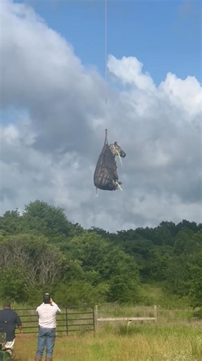 28M views · 182K reactions | Video from Branson Wells shows Ed the...