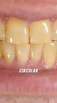 Real-Life Vampire Animals That Drink Blood – Shocking Animal Facts | Factzoo Frenzy